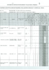 Vista preliminar de documento IPER Informática