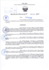 Vista preliminar de documento R.D N° 208-2025