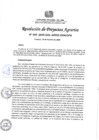 Vista preliminar de documento RPA 005-2025 Conf Comit Recep Represa Cochatupe