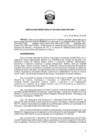 Vista preliminar de documento RD-029-2025-CONCYTEC-DPP