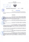 Vista preliminar de documento R.D N° 213-2025