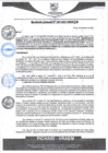Vista preliminar de documento rgm65