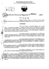 Vista preliminar de documento RDR 0101-2025