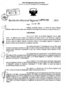 Vista preliminar de documento RDR 0102-2025