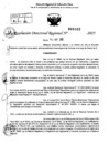 Vista preliminar de documento RDR 0103-2025