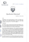 Vista preliminar de documento RD N°053-02-2025-DE-HCLLH-MINSA
