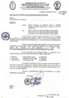 Vista preliminar de documento Documento 273