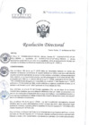 Vista preliminar de documento RD N°058-02-2025-DE-HCLLH-MINSA