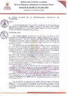 Vista preliminar de documento RAN055-2025