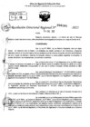 Vista preliminar de documento RDR 0104-2025