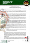 Vista preliminar de documento RESOLUCION GERENCIAL N° 00101-2025-MPS-GM