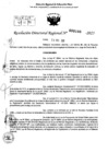 Vista preliminar de documento RDR 0106-2025