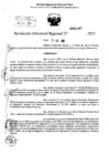 Vista preliminar de documento RDR 0107-2025