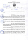 Vista preliminar de documento R.D N° 236-2025