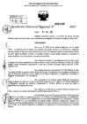 Vista preliminar de documento RDR 0109-2025