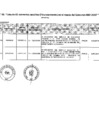 Vista preliminar de documento Anexo_1_DS033_2025EF