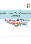 Vista preliminar de documento Información FATCA