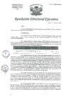 Vista preliminar de documento R.D.E.  Nº035-2025-HNAL-OEA