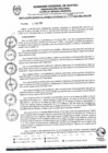 Vista preliminar de documento RGGR0098-2025