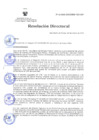 Vista preliminar de documento RD Nº 44-2025-DG-INSM HD-HN