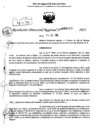 Vista preliminar de documento RDR 0111-2025