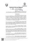 Vista preliminar de documento RDR Nº 0562-2025-GRSM-DRE