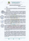 Vista preliminar de documento Decreto de Alcaldía N.° 003-2025-MDJ-A