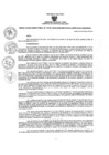 Vista preliminar de documento 0175_2025