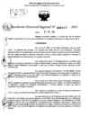 Vista preliminar de documento RDR 0115-2025