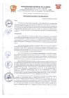 Vista preliminar de documento R.A N° 041-2025 