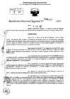 Vista preliminar de documento RDR 0117-2025