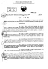 Vista preliminar de documento RDR 0119-2025