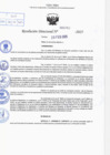 Vista preliminar de documento R.D N° 262-2025