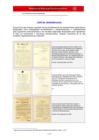 Vista preliminar de documento Modelo de carta credencial