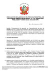 Vista preliminar de documento Resolución de la Dirección Técnica Registral de la Sunarp n.° 009-2025-SUNARP/DTR