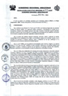 Vista preliminar de documento RESOLUCION EJECUTIVA REGIONAL 0075-2025 GRA