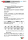 Vista preliminar de documento 2025-TÉRMINO DE REFERENCIA  almacenes aduaneros