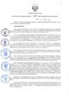 Vista preliminar de documento RER.133
