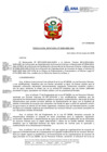 Vista preliminar de documento R.J. 043 Lineam. ins.SNBE