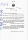 Vista preliminar de documento R.D N° 266-2025