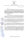 Vista preliminar de documento DGC. 065
