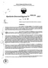 Vista preliminar de documento RDR 0123-2025