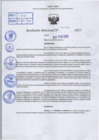 Vista preliminar de documento R.D N° 293-2025