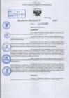 Vista preliminar de documento R.D N° 294-2025
