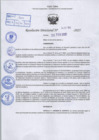 Vista preliminar de documento R.D N° 295-2025