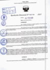 Vista preliminar de documento R.D N° 300-2025