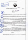 Vista preliminar de documento R.D N° 302-2025