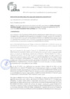 Vista preliminar de documento Resoluciones de la Subdirección de Negociaciones Colectivas Registros Generales Pericias Defensa Legal Gratuita al Trabajador