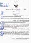 Vista preliminar de documento R.D N° 304-2025