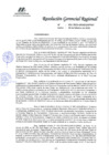 Vista preliminar de documento R.G.R N° 031-2025-GRMGRPPAT